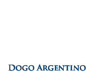 Breeders of the Dogo Argentino, Argentinian Mastiff, Argentine Dogo in McLeod Lake, BC, Canada. 