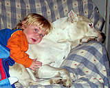 Our family Dogo
